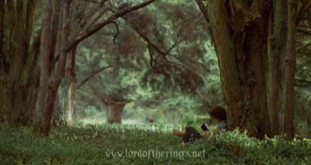 fotr_trailer02_003.jpg