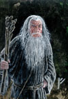 First Place - Gandalf the Grey